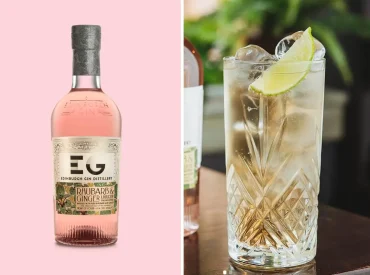 5 Enticing Gin and Ginger Ale Cocktails