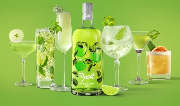 Boe Apple & Lime Gin